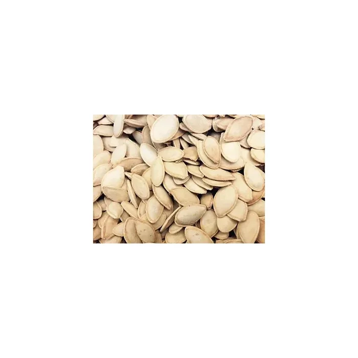 AL-NASEEB 100 GM BEEJ GOLDEN IRANI