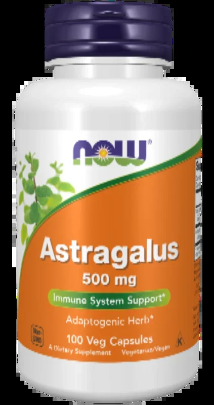 Astragalus 500 mg 100 Veg Capsules