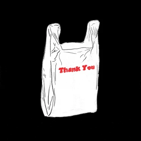 Bag Fee