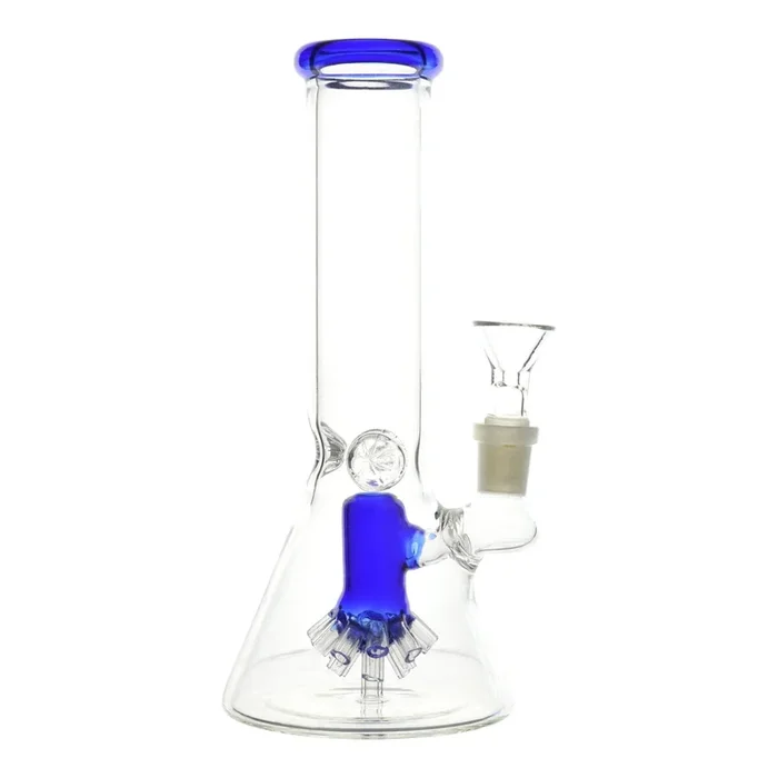 Blastoid Beaker – 8.5in