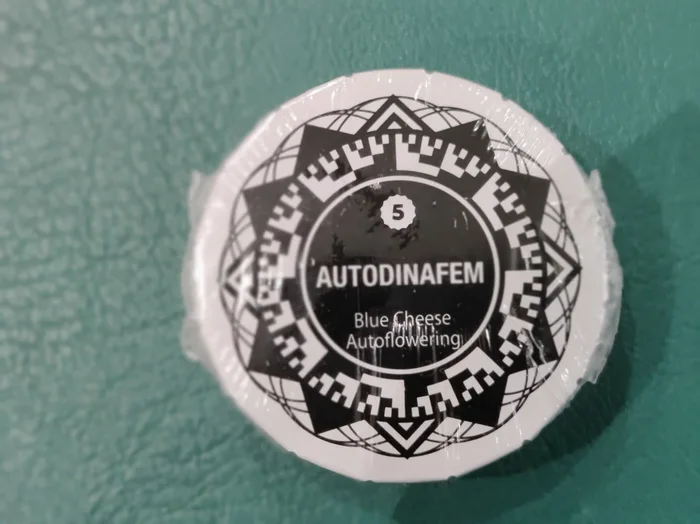 Blue Cheese Auto x5 – Dinafem