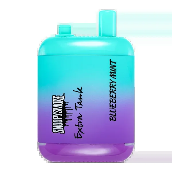 Blueberry Mint Snoopy Smoke 15000 Puffs
