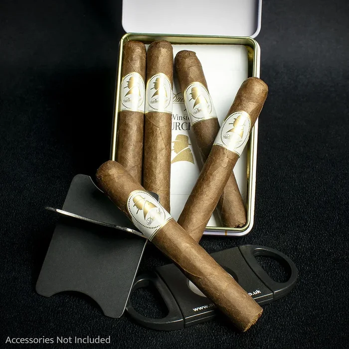 Davidoff Winston Churchill The Raconteur Petit Panatela Cigars – Tin of 5