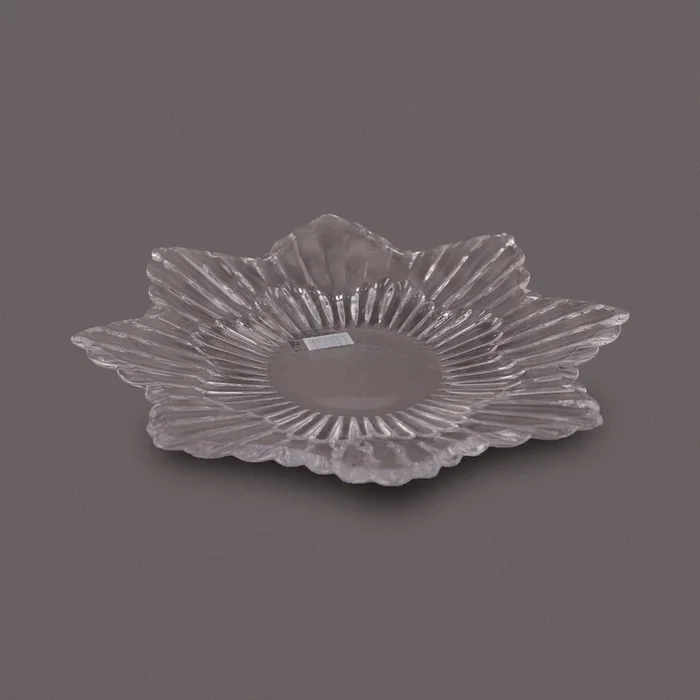 DISH BLINK MAX LZ0123