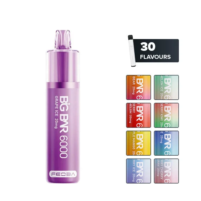 Feoba Big Bar 6000 Disposable Vape