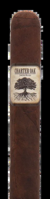 Foundation Cigars Charter Oak Connecticut Broadleaf Petite Corona Cigar – Single