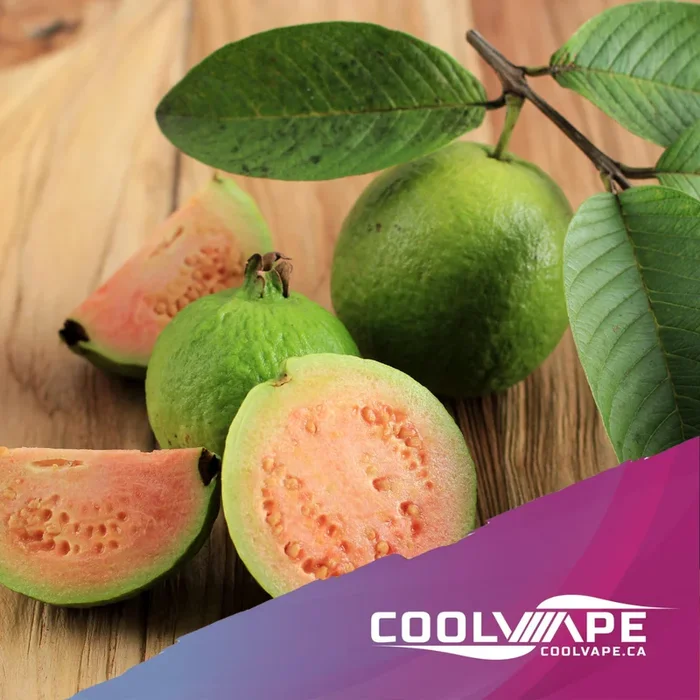 Guava