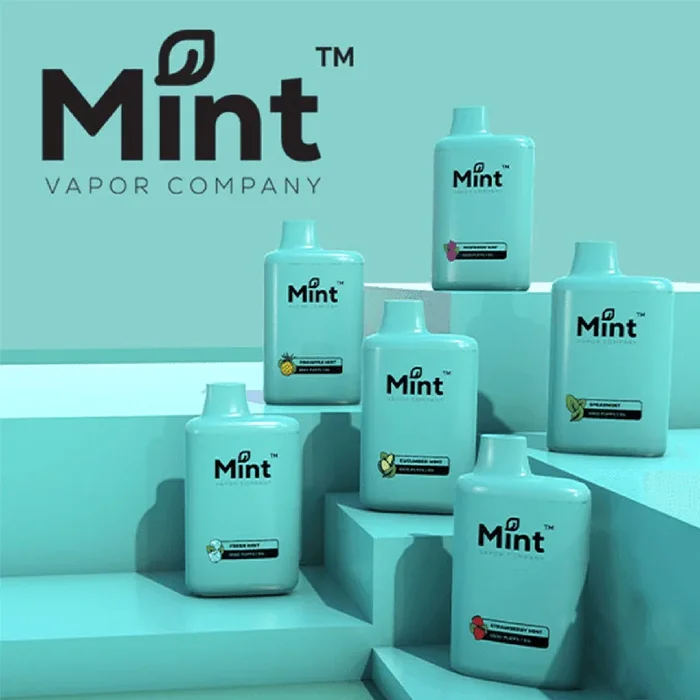 Mint Vapor Company 6500 Disposable