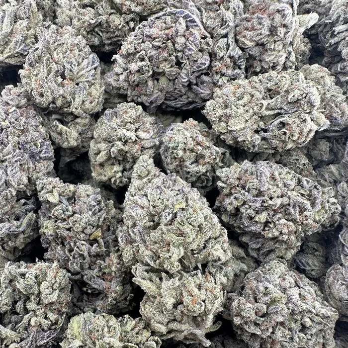 THC-A Flower White Gusherz Sativa (Light Dep)