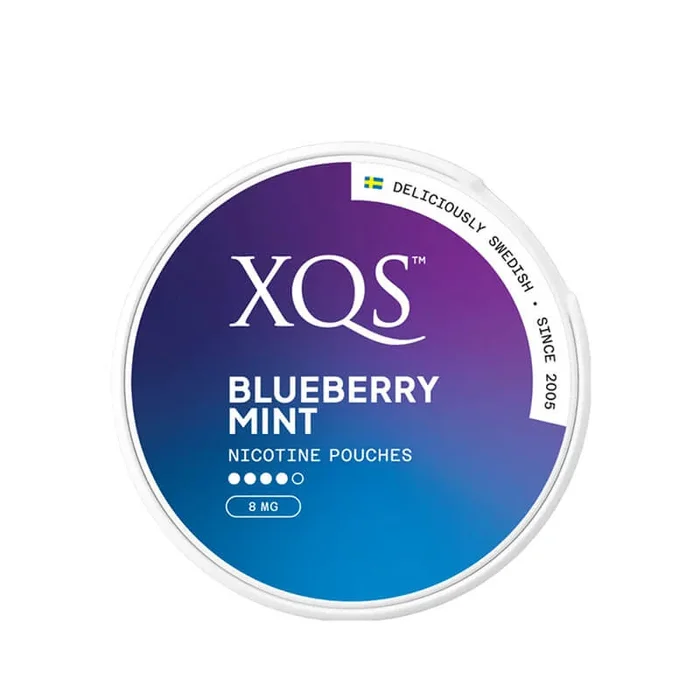 XQS Blueberry Mint Nicotine Pouches – 8mg/Pouch